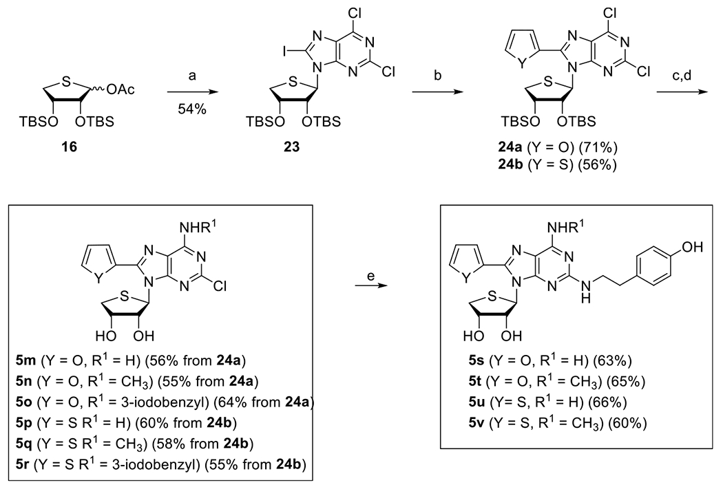 Scheme 5.