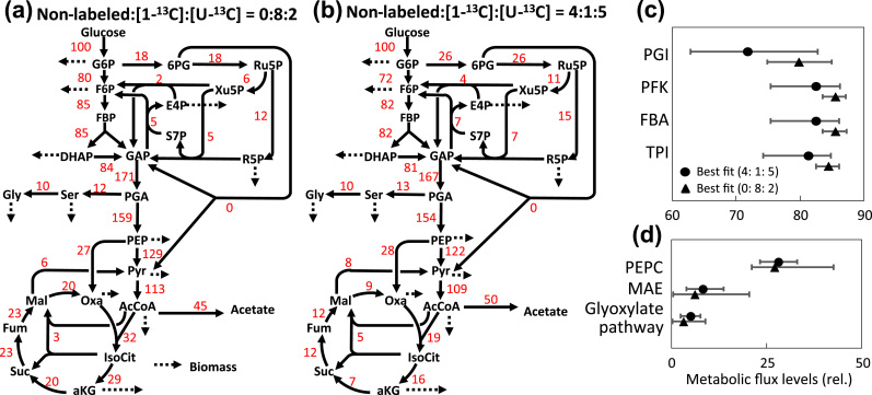 Fig. 5