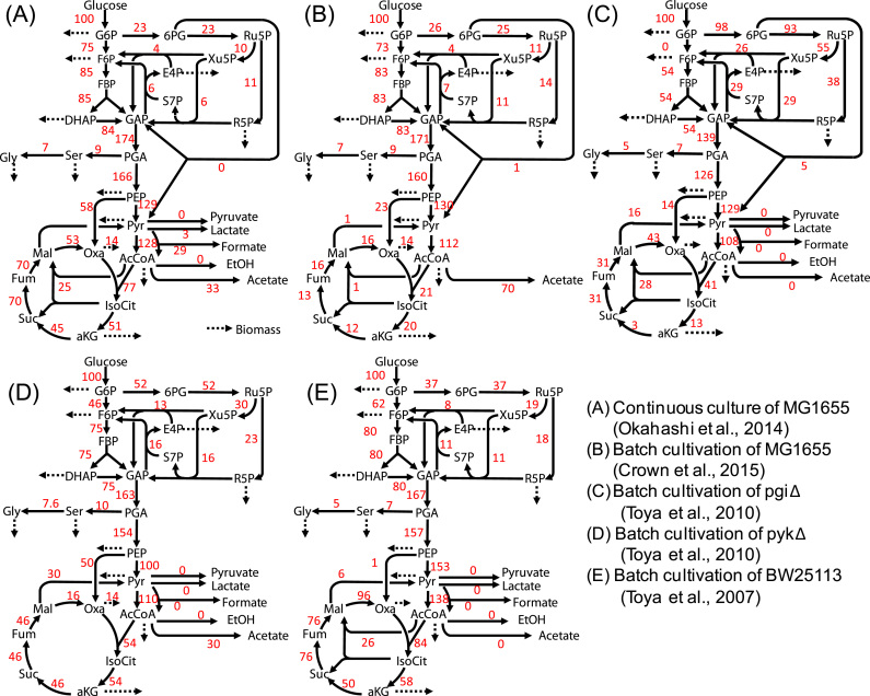 Fig. 2