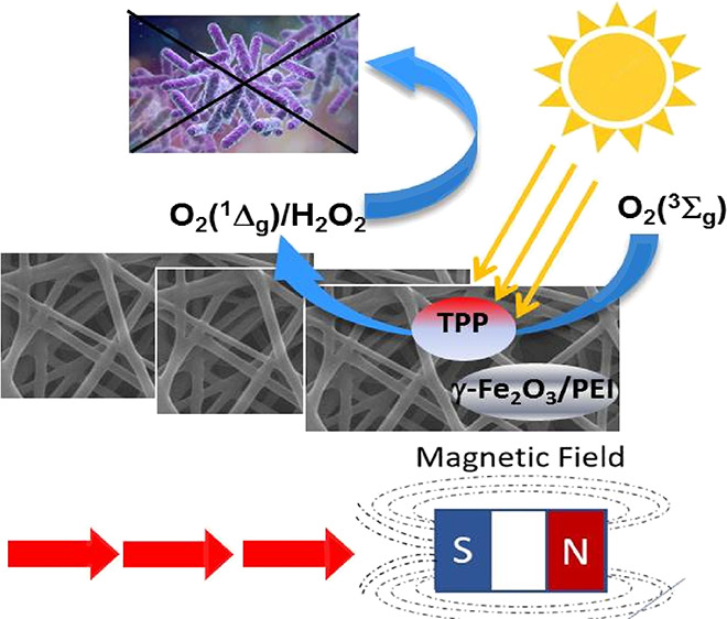 graphic file with name ao2c05935_0012.jpg