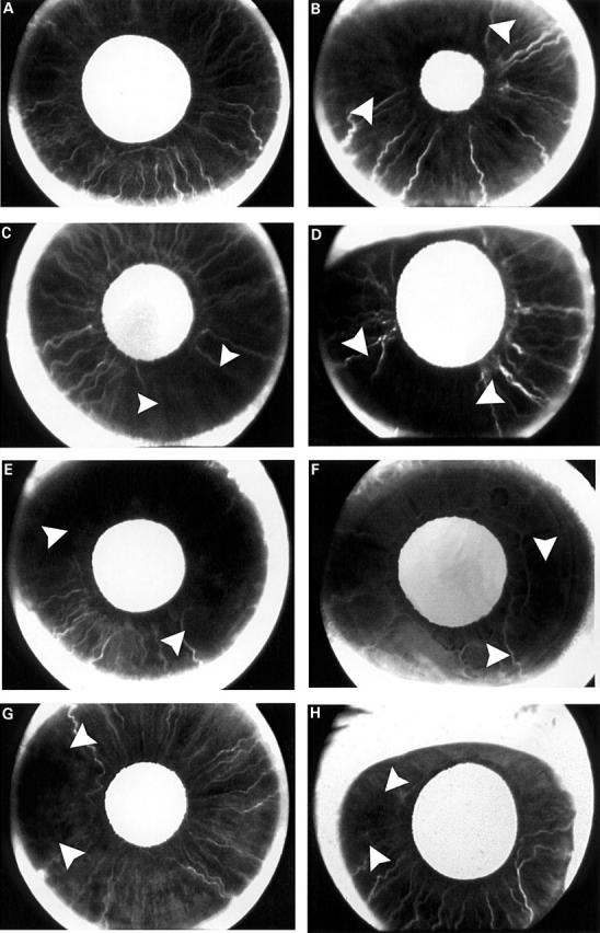 Figure 1  