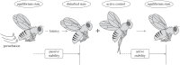 Figure 18.