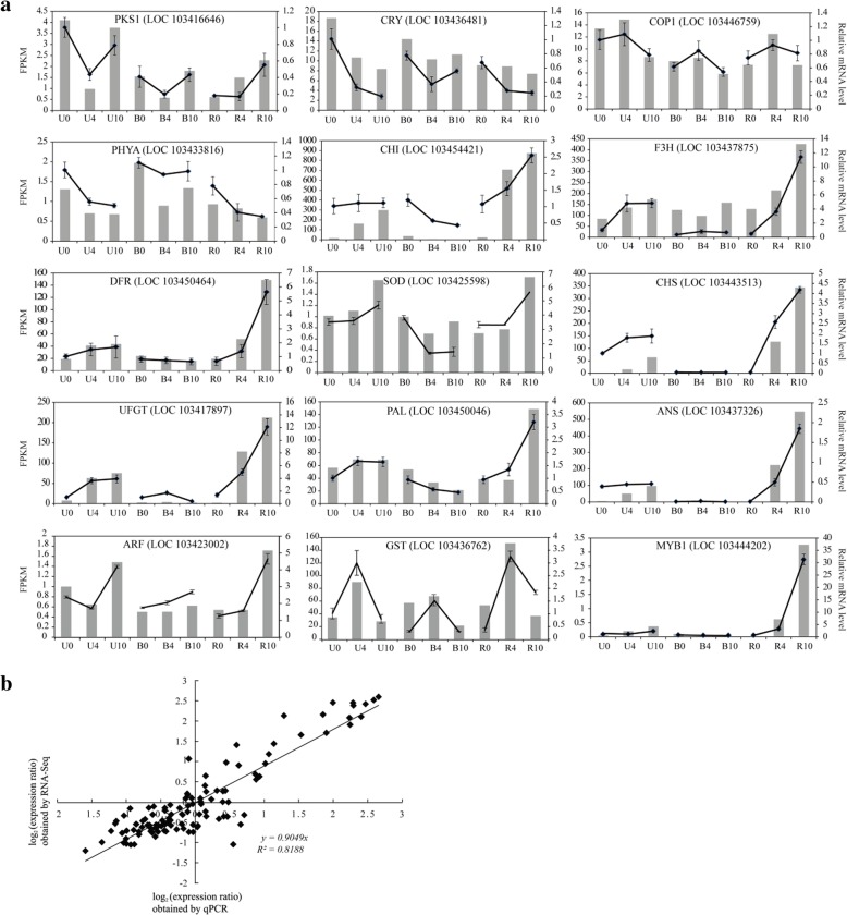 Fig. 10