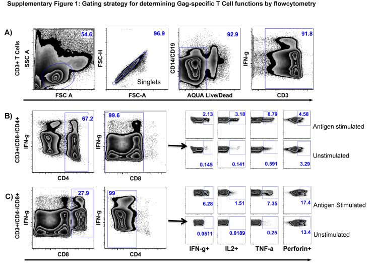 Supplementary Fig. 1