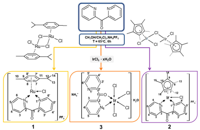 Scheme 2