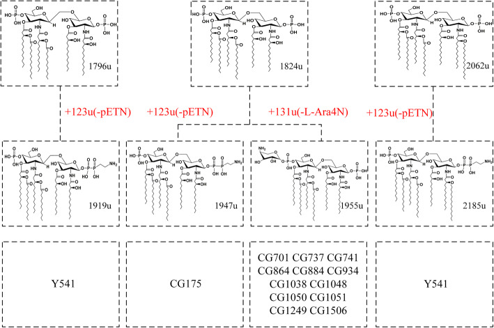 Fig. 4