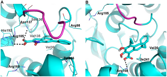 Figure 9