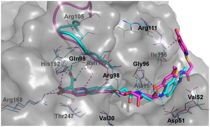 Figure 5