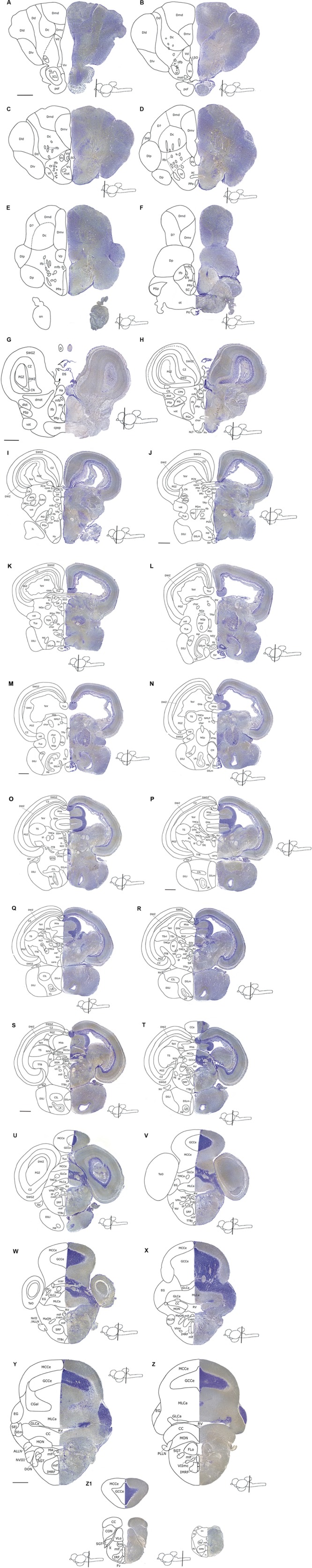 FIGURE 3