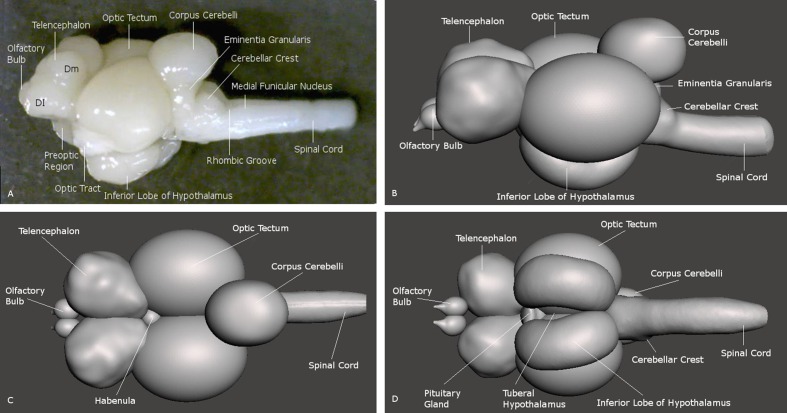 FIGURE 2