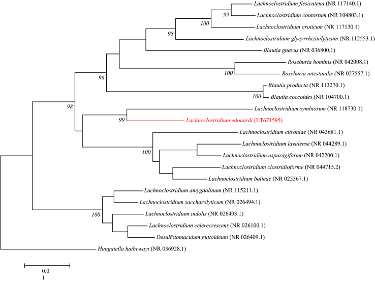 Fig. 2