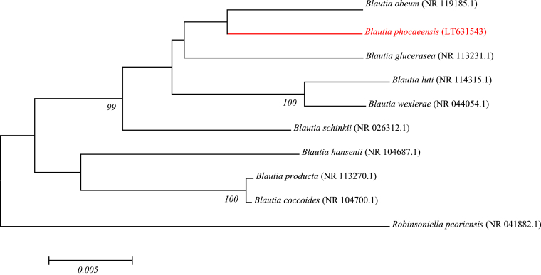 Fig. 1