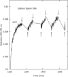 Fig. 10