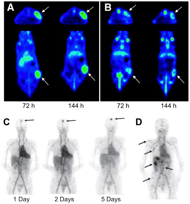 Fig. (2)