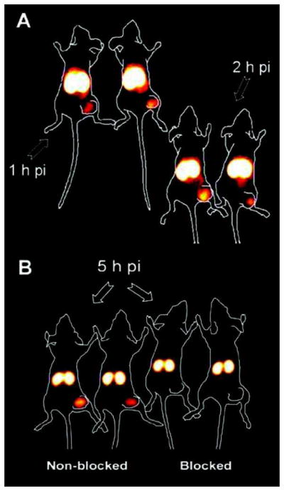 Fig. (1)