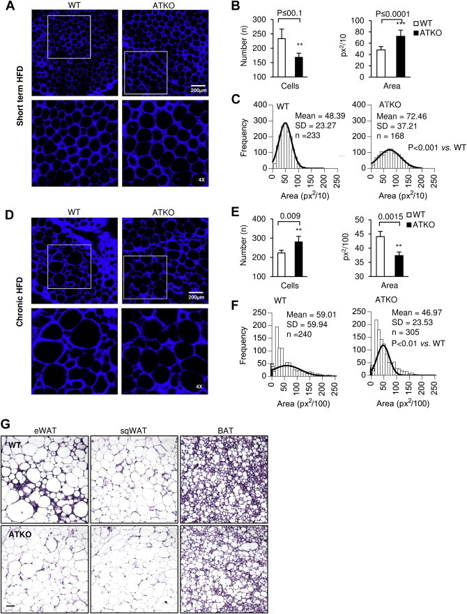 Figure 6