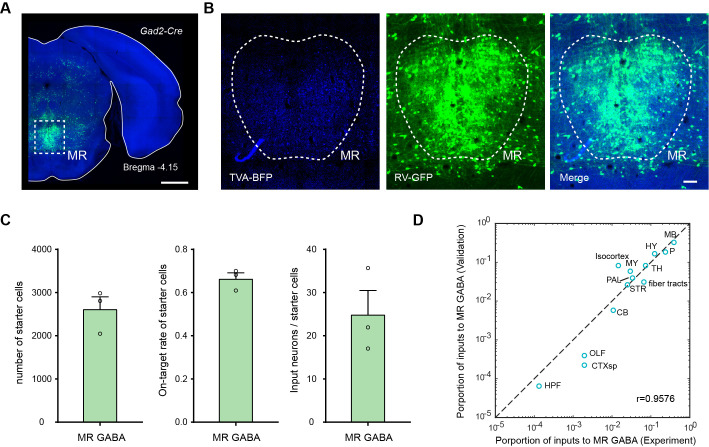 Figure 1—figure supplement 2.