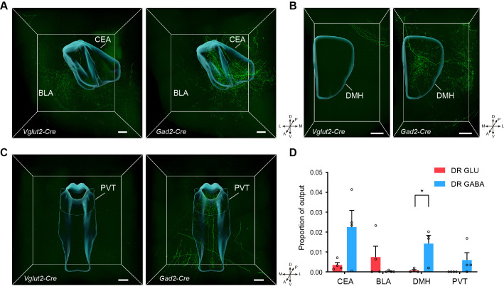 Figure 4—figure supplement 3.