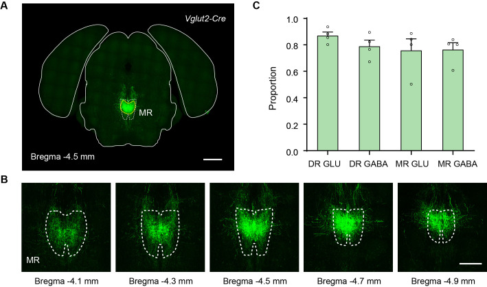 Figure 4—figure supplement 1.