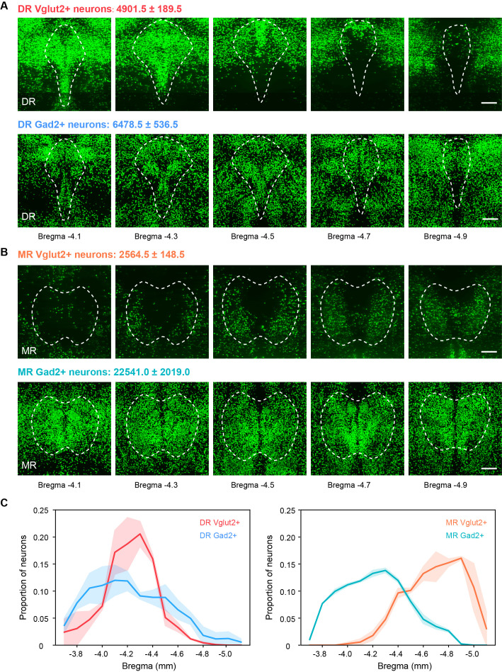 Figure 1—figure supplement 1.