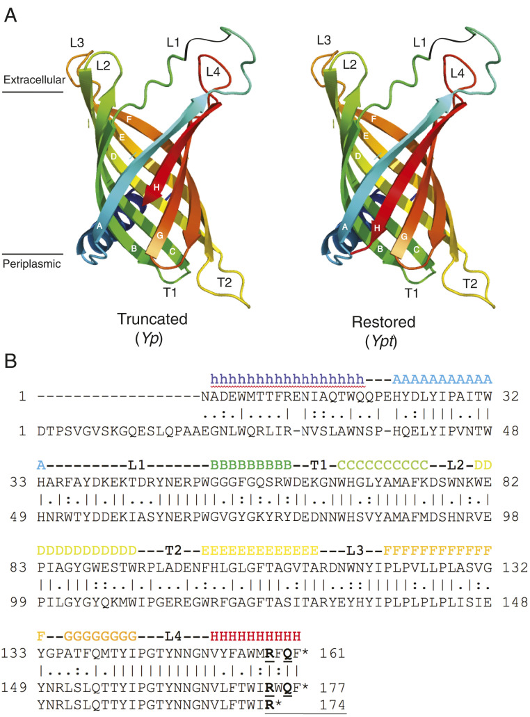 Fig. 2.