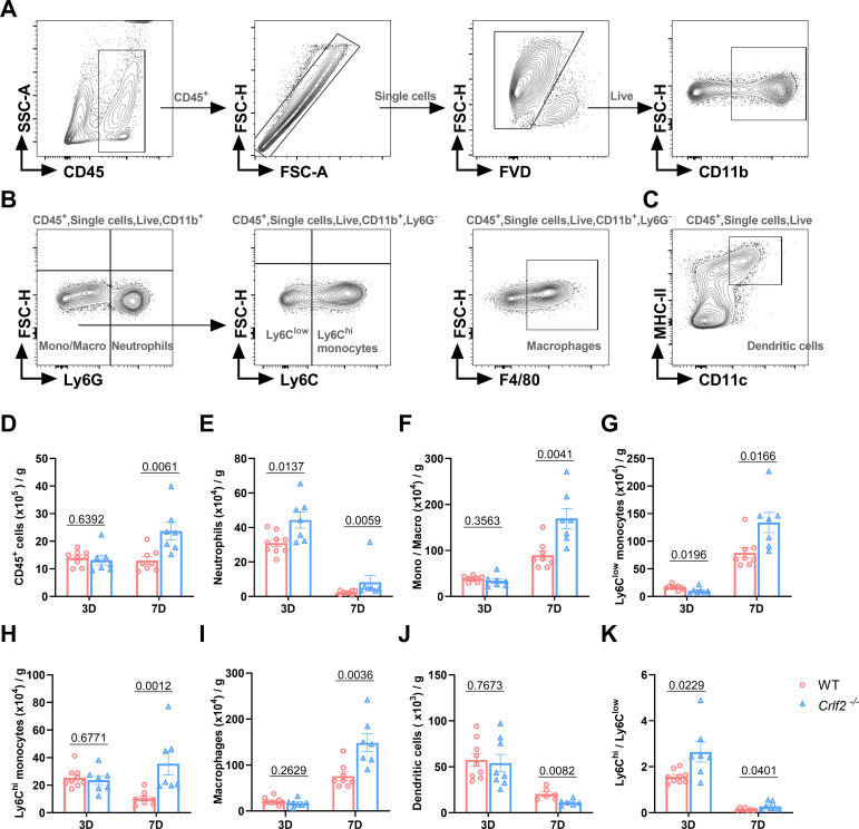 Figure 4