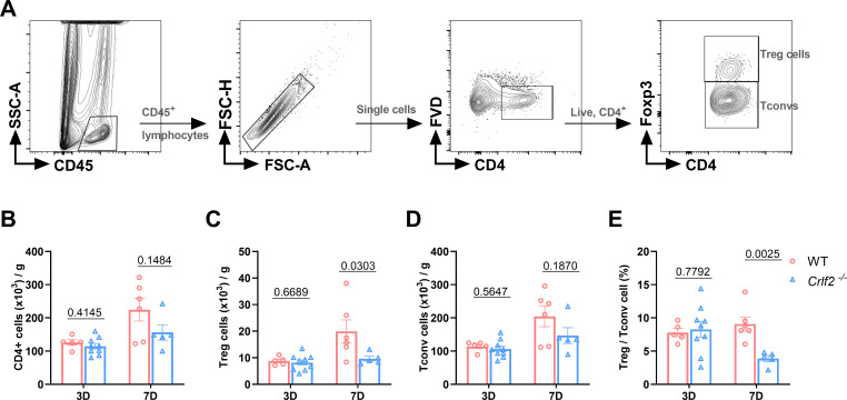 Figure 5