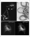 Figure 21.4.3