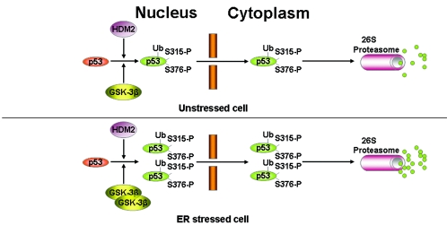 FIG. 7.