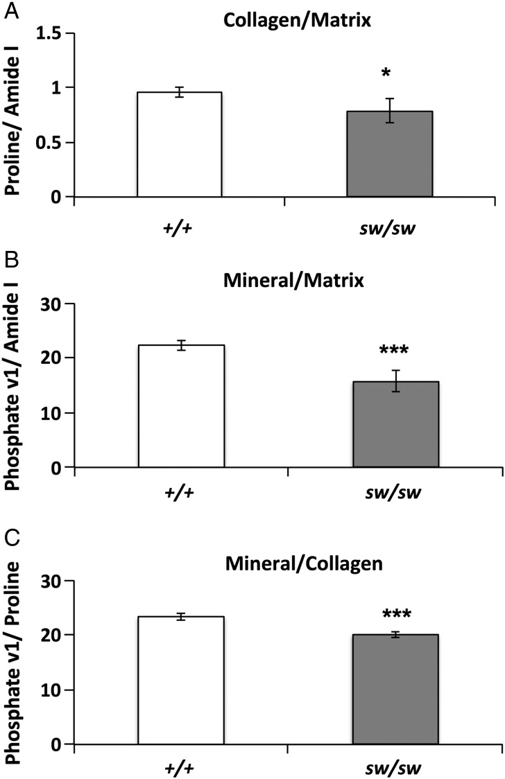 Figure 3.