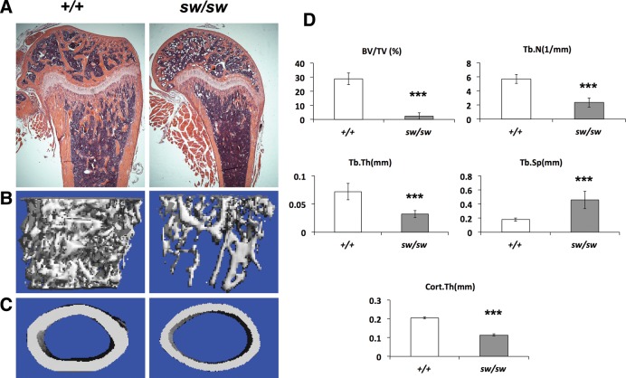 Figure 2.