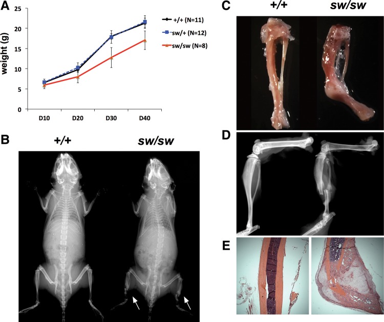 Figure 1.