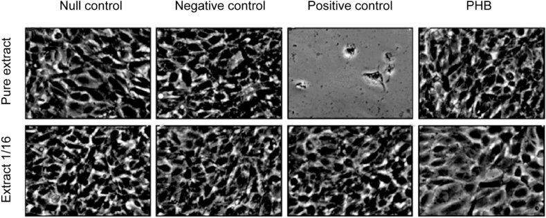 Figure 4