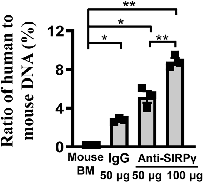 Figure 6