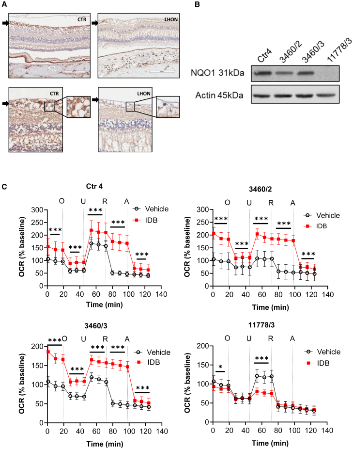 Figure 4