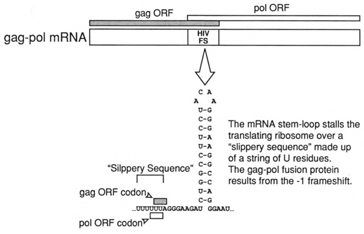 FIG. 6