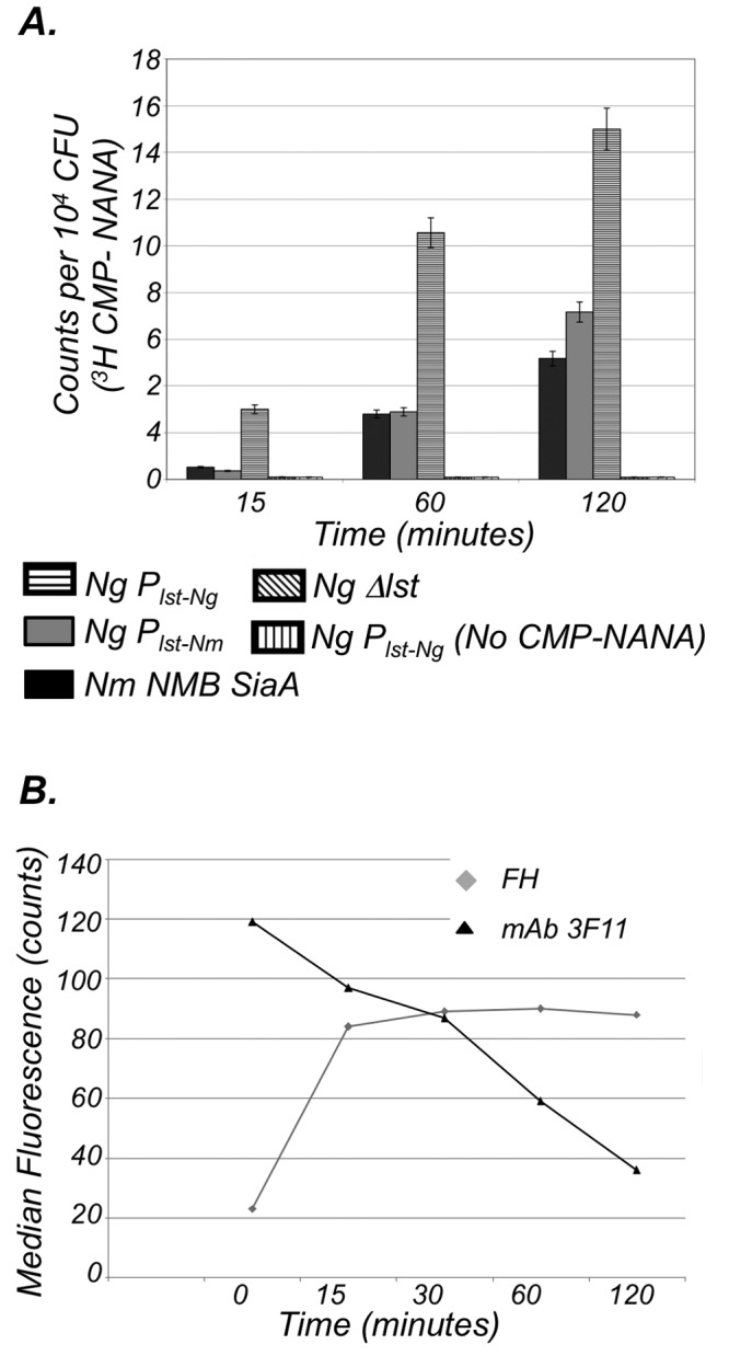 FIG 1 