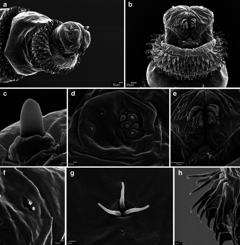 Fig. 2