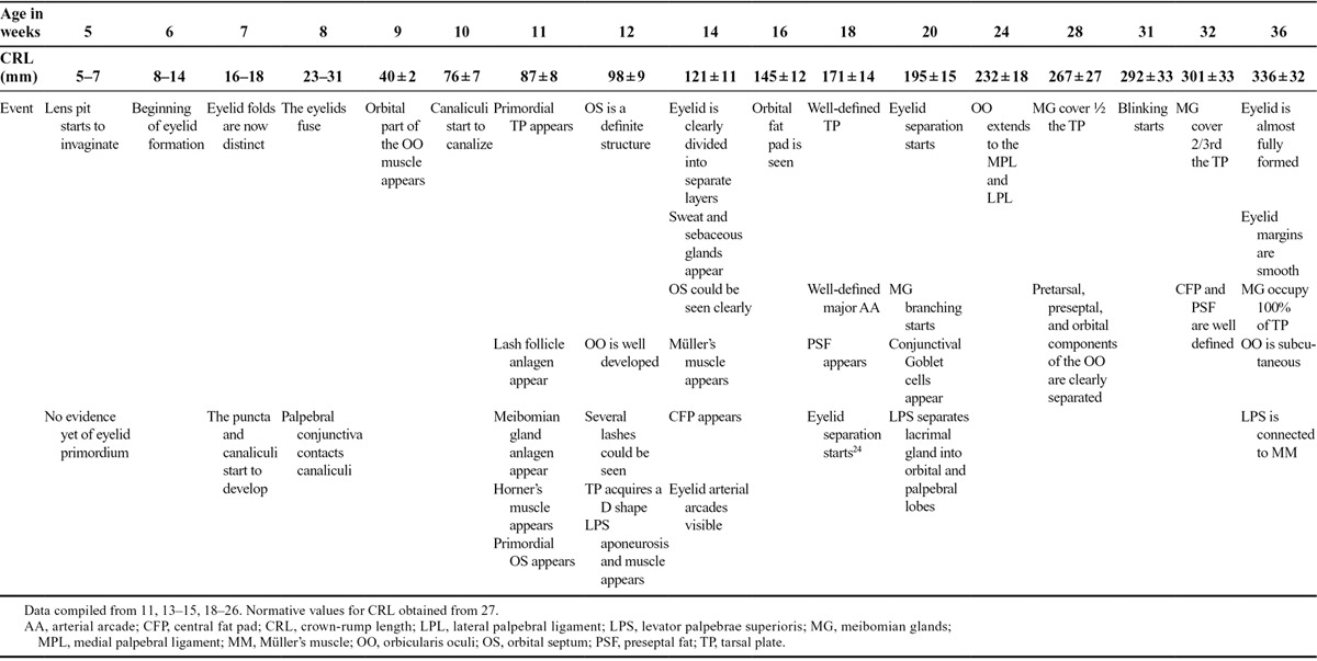 graphic file with name iop-32-407-g002.jpg