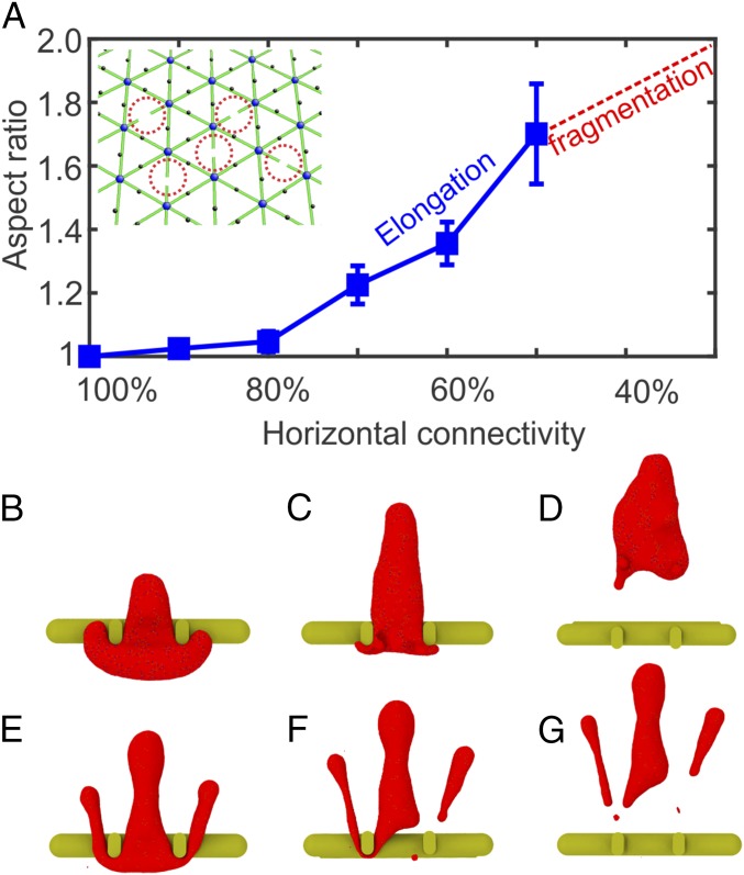 Fig. 6.