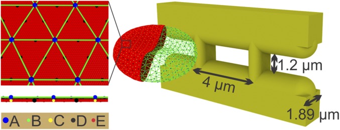 Fig. 1.