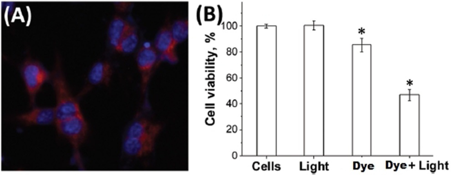 Figure 29.