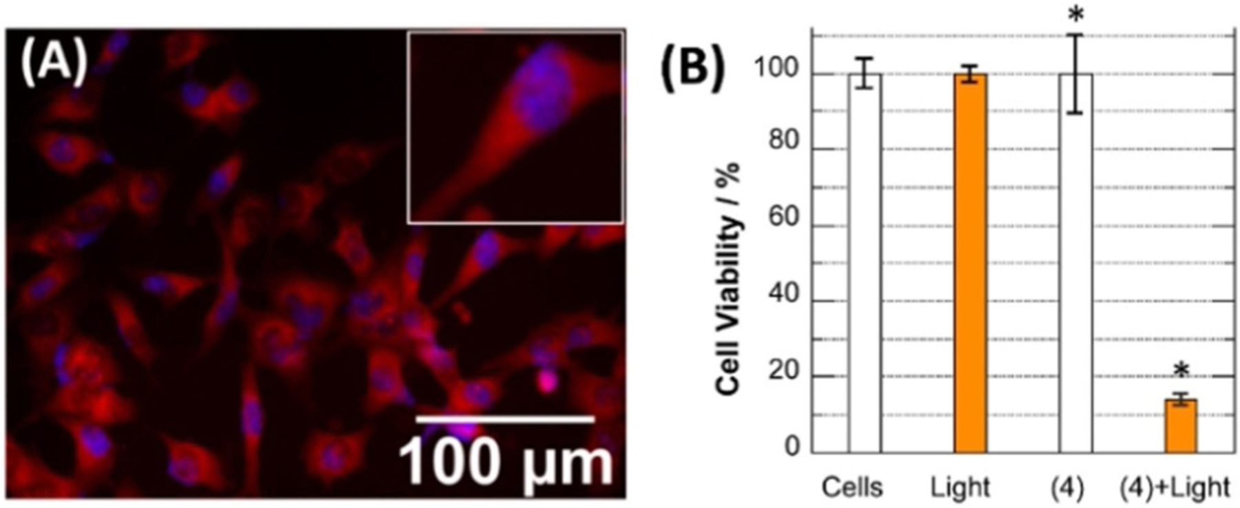 Figure 31.