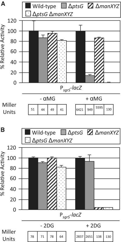 Figure 6.