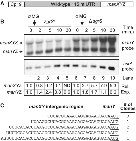 Figure 2.