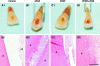 FIG. 1.