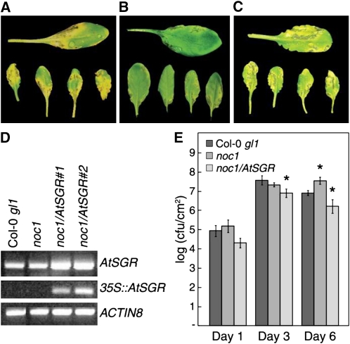 Figure 3.