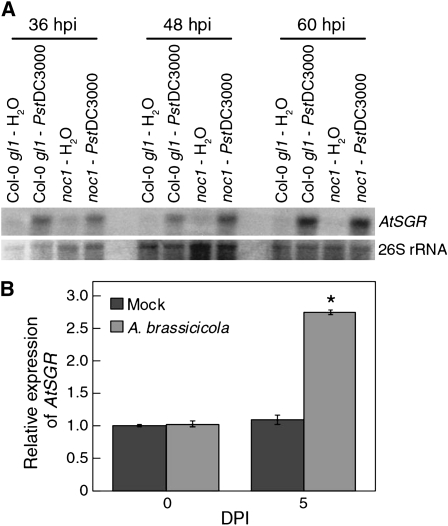 Figure 5.