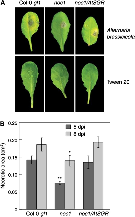 Figure 4.