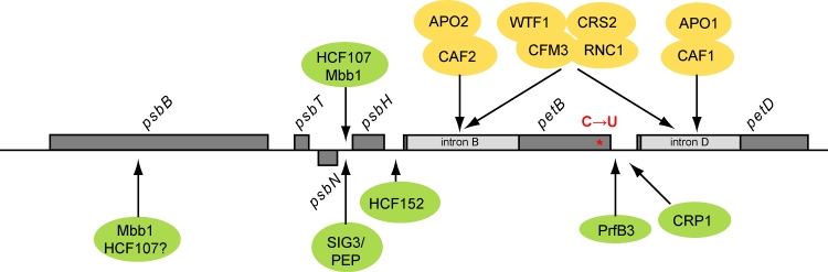 Fig. 2